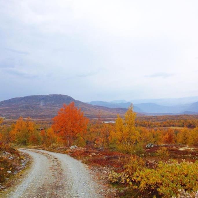 Fjellstova Storehorn Apartments Ulsak Екстер'єр фото